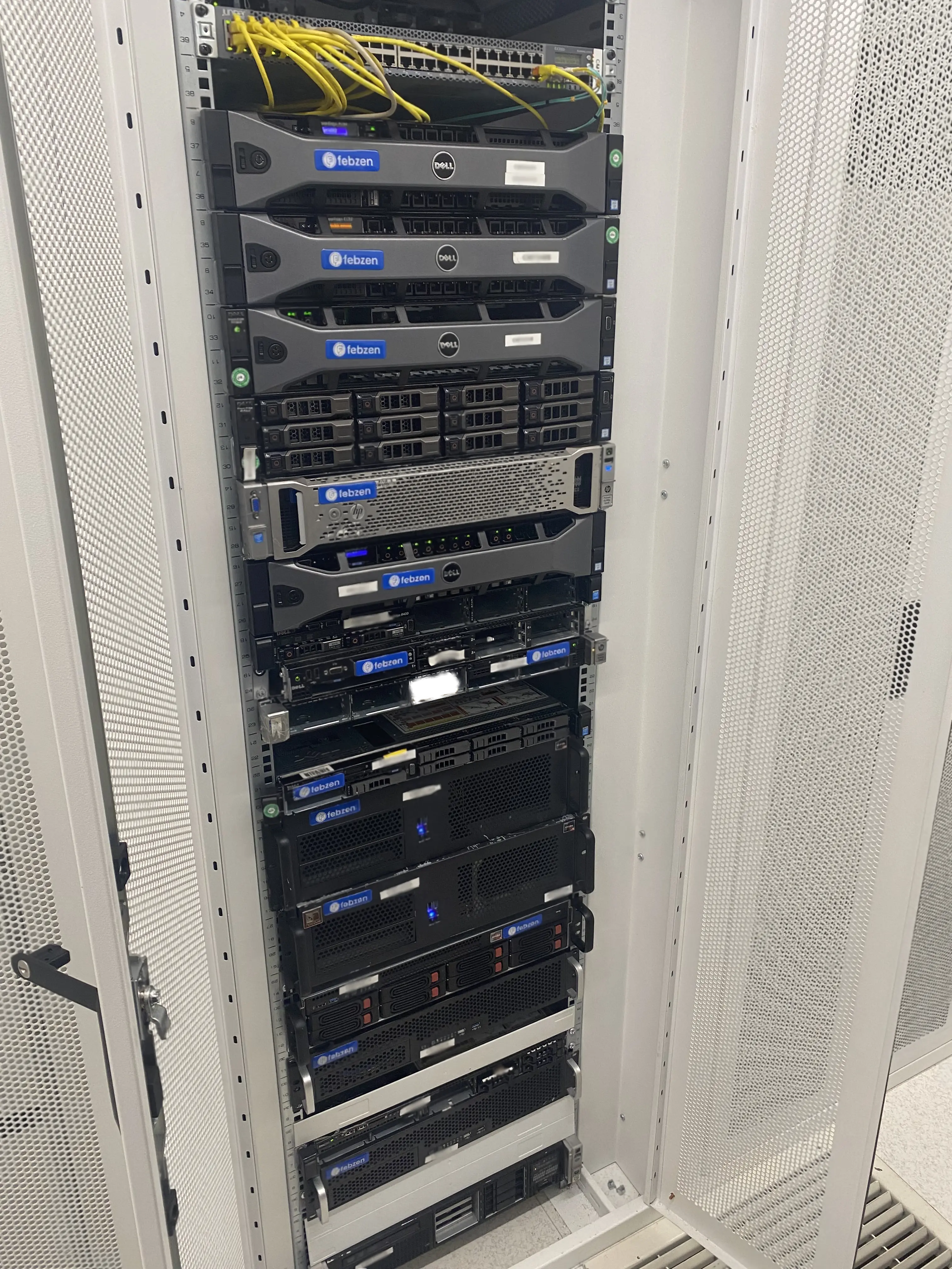 Febzen Fotoğrafları